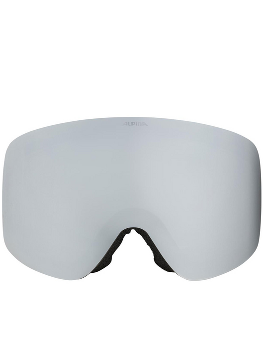 ALPINA Men's Ski Glasses