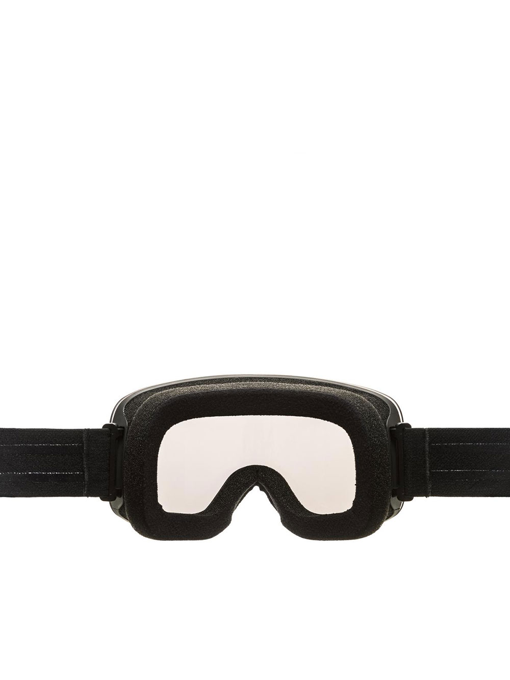 ALPINA Men's Ski Glasses