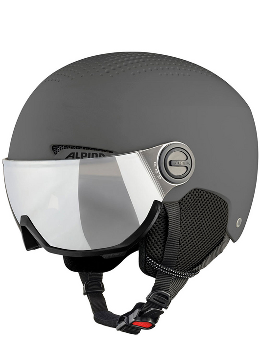 ALPINA Men's Ski Helmet